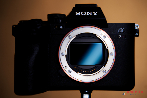 Sony A7RV có hê thống ổn định hình ảnh hiệu quả đến 8 stops