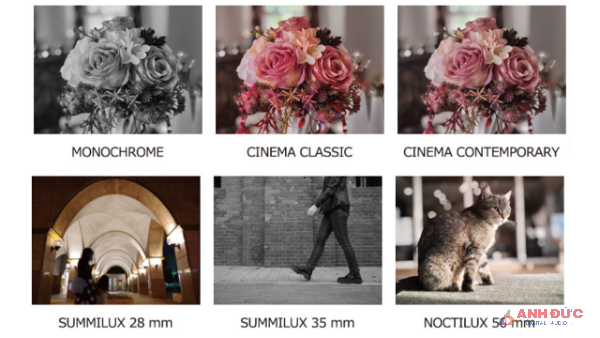 Phần mềm chụp ảnh còn có bộ hiệu ứng Lietz Looks, nơi Leica mô phỏng 1 số ống kính dòng M cổ điển
