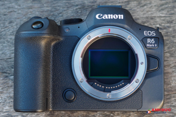 Bên trong Canon EOS R6 Mark II là cảm biến Dual Pixel CMOS AF II có độ phân giải 24MP với hiệu suất xử lý ánh sáng tốt hơn