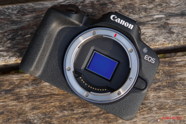 Canon EOS R50 sử dụng cảm biến CMOS APS-C 24MP như trên EOS R10