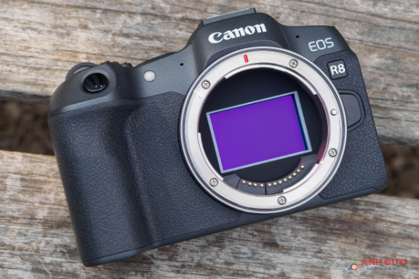 Bên trong Canon EOS R8 sử dụng cảm biến fullframe 24MP có dải nhạy sáng 100-102400