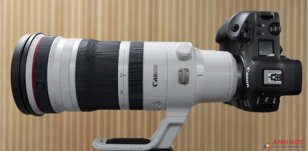 Ống kính Canon RF 100-300mm f/2.8 L IS USM