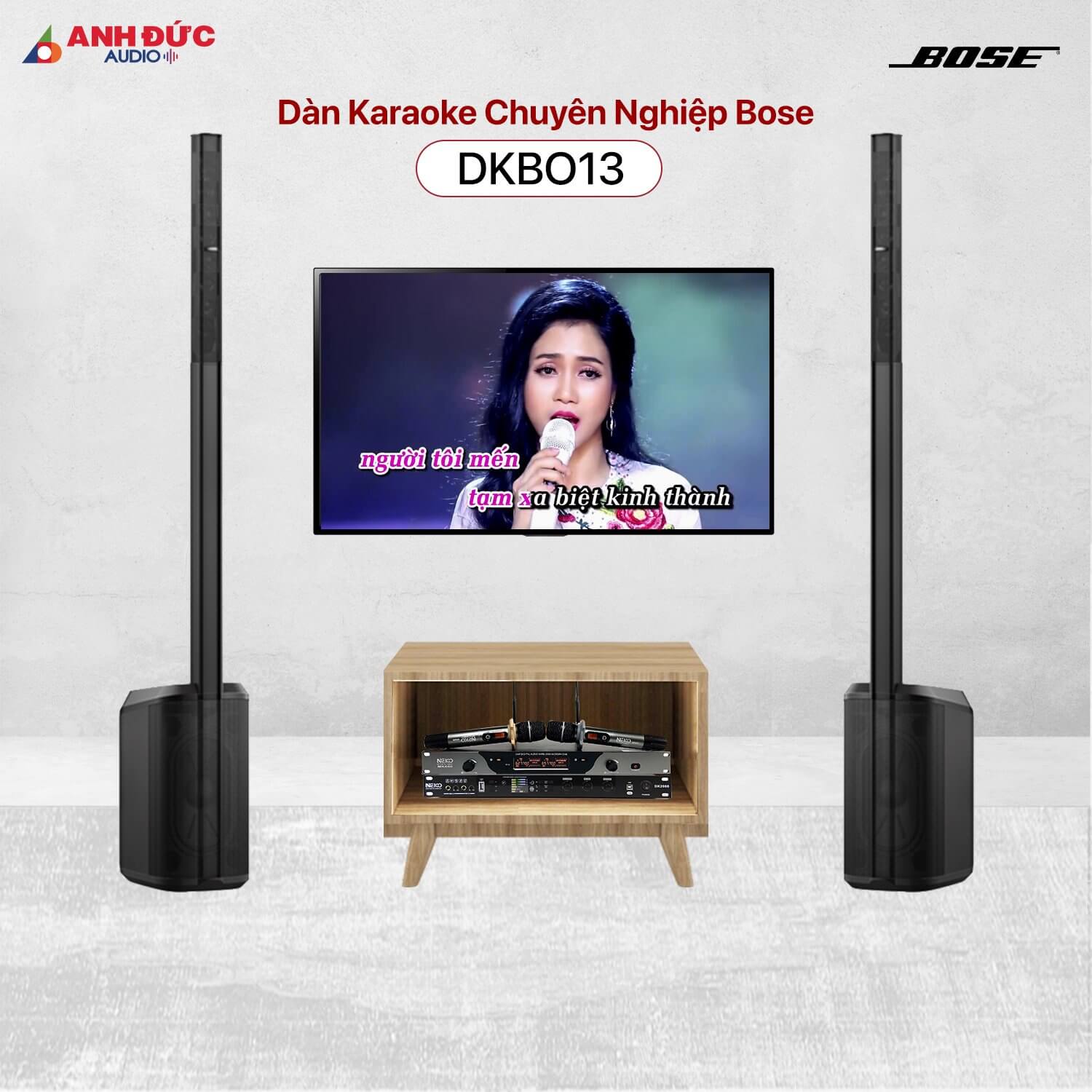 Dàn Karaoke Chuyên Nghiệp Bose DKBO13