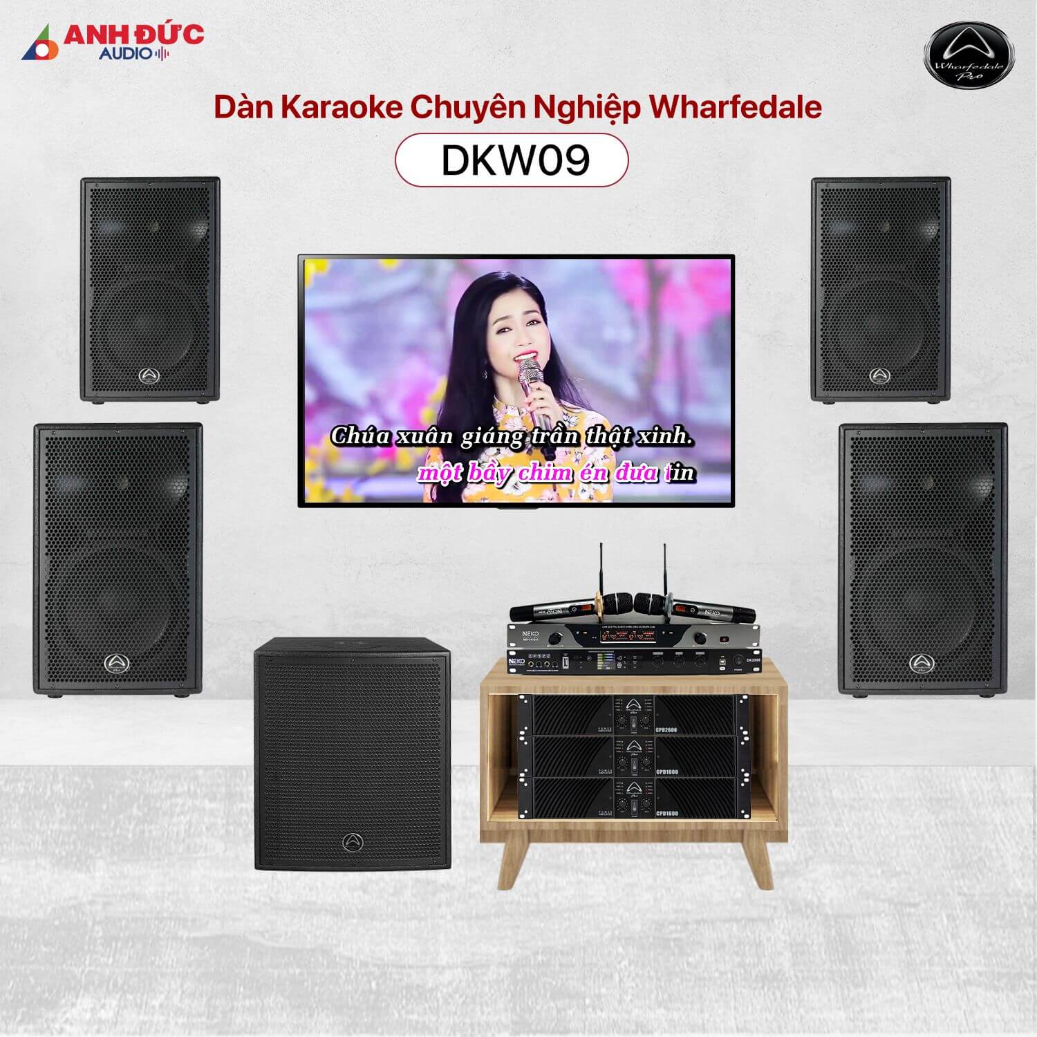 Dàn Karaoke Chuyên Nghiệp Wharfedale DKW09